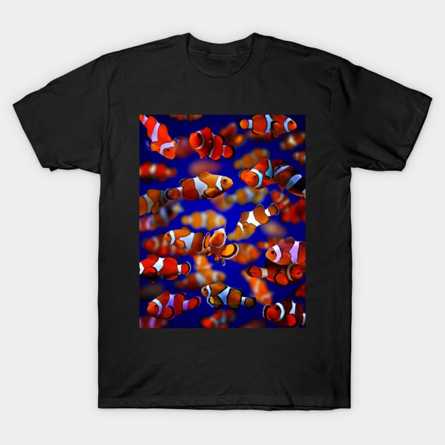 Clown Fish T-Shirt by MaxencePierrard
